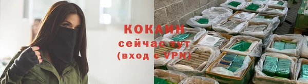 соль ск Алексеевка