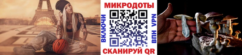 Галлюциногенные грибы Psilocybine cubensis  цена   Дрезна 